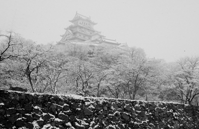 姫路城・雪の原生林